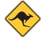 The Turquoise Coast Skippycoin ICG The Turquoise Coast Skippycoin ICG
