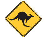 The Turquoise Coast Skippycoin ICG The Turquoise Coast Skippycoin ICG